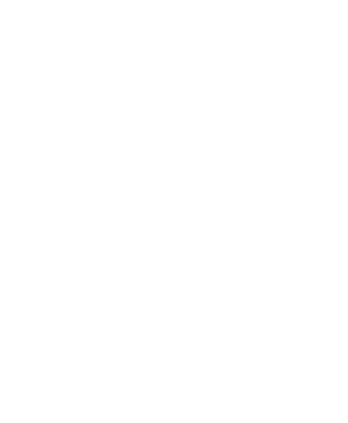 Platz Da! – Ein Kunstrasenplatz für den TSV Klein-Umstadt